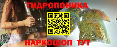 амф Кимры