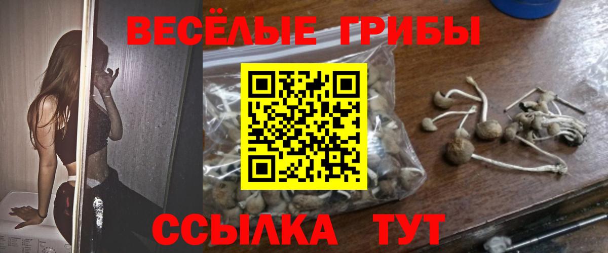 Нурлат  Галлюциногенные грибы Psilocybe  Вход с VPN 